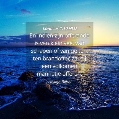 Picture 04 - Leviticus 1:10 NLD - En indien zijn offerande is van klein vee, van - Bible Verse Picture