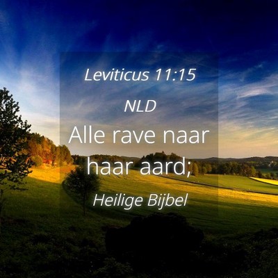 Picture 04 - Leviticus 11:15 NLD - Alle rave naar haar - Bible Verse Picture