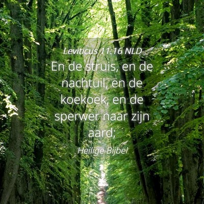 Picture 04 - Leviticus 11:16 NLD - En de struis, en de nachtuil, en de koekoek, en - Bible Verse Picture