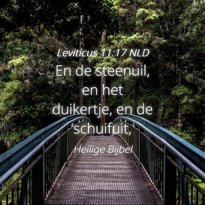 Picture 04 - Leviticus 11:17 NLD - En de steenuil, en het duikertje, en de - Bible Verse Picture