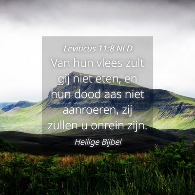 Picture 04 - Leviticus 11:8 NLD - Van hun vlees zult gij niet eten, en hun dood aas - Bible Verse Picture