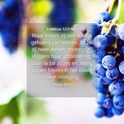 Picture 04 - Leviticus 12:5 NLD - Maar indien zij een meisje gebaard zal hebben, zo - Bible Verse Picture