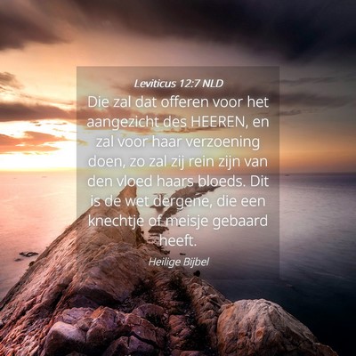 Picture 04 - Leviticus 12:7 NLD - Die zal dat offeren voor het aangezicht des - Bible Verse Picture