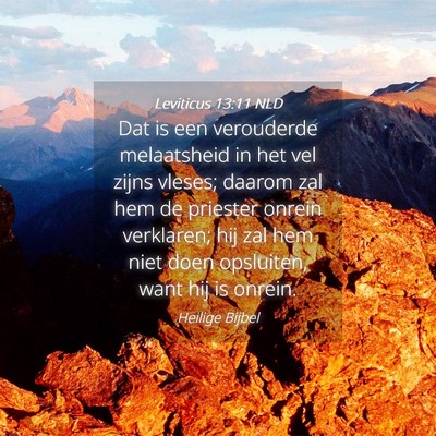 Picture 04 - Leviticus 13:11 NLD - Dat is een verouderde melaatsheid in het vel - Bible Verse Picture