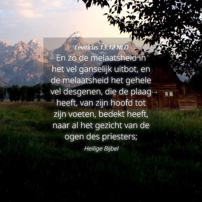 Picture 04 - Leviticus 13:12 NLD - En zo de melaatsheid in het vel ganselijk uitbot, - Bible Verse Picture