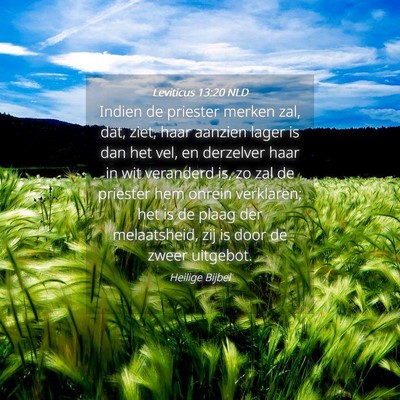 Picture 04 - Leviticus 13:20 NLD - Indien de priester merken zal, dat, ziet, haar - Bible Verse Picture