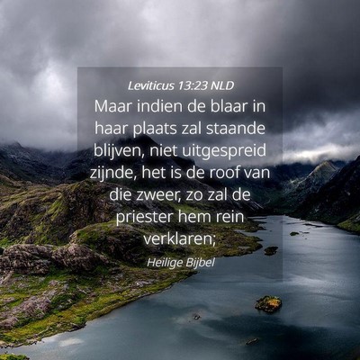 Picture 04 - Leviticus 13:23 NLD - Maar indien de blaar in haar plaats zal staande - Bible Verse Picture