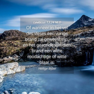Picture 04 - Leviticus 13:24 NLD - Of wanneer in het vel des vleses een vurige brand - Bible Verse Picture