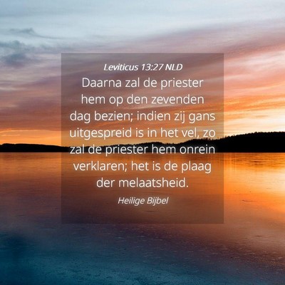 Picture 04 - Leviticus 13:27 NLD - Daarna zal de priester hem op den zevenden dag - Bible Verse Picture