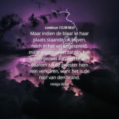 Picture 04 - Leviticus 13:28 NLD - Maar indien de blaar in haar plaats staande zal - Bible Verse Picture