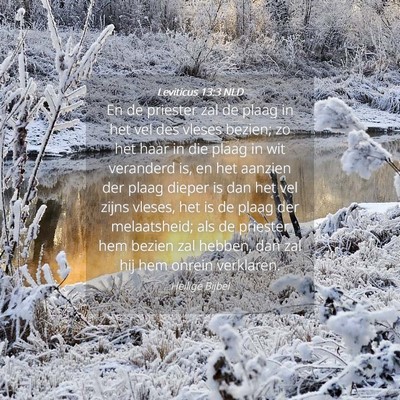 Picture 04 - Leviticus 13:3 NLD - En de priester zal de plaag in het vel des vleses - Bible Verse Picture