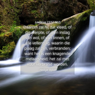 Picture 04 - Leviticus 13:52 NLD - Daarom zal hij dat kleed, of die werpte, of dien - Bible Verse Picture