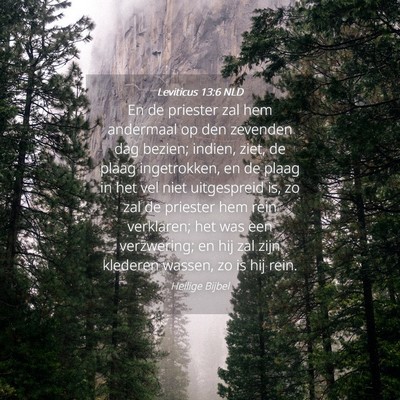 Picture 04 - Leviticus 13:6 NLD - En de priester zal hem andermaal op den zevenden - Bible Verse Picture