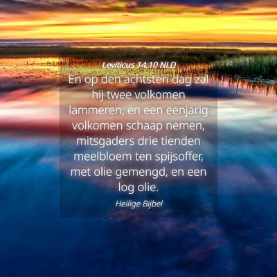 Picture 04 - Leviticus 14:10 NLD - En op den achtsten dag zal hij twee volkomen - Bible Verse Picture