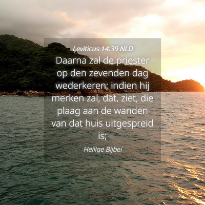 Picture 04 - Leviticus 14:39 NLD - Daarna zal de priester op den zevenden dag - Bible Verse Picture