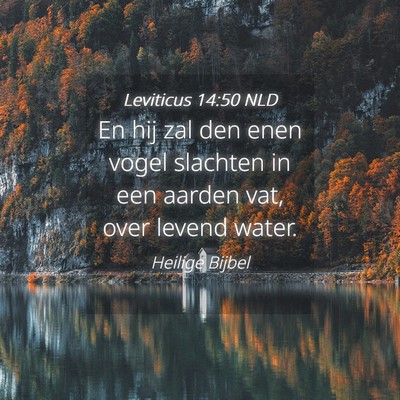Picture 04 - Leviticus 14:50 NLD - En hij zal den enen vogel slachten in een aarden - Bible Verse Picture