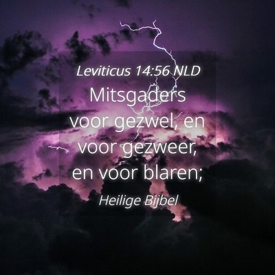 Picture 04 - Leviticus 14:56 NLD - Mitsgaders voor gezwel, en voor gezweer, en voor - Bible Verse Picture