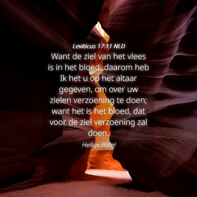 Picture 04 - Leviticus 17:11 NLD - Want de ziel van het vlees is in het bloed; - Bible Verse Picture