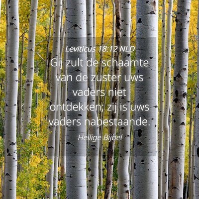 Picture 04 - Leviticus 18:12 NLD - Gij zult de schaamte van de zuster uws vaders - Bible Verse Picture