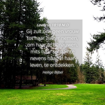Picture 04 - Leviticus 18:18 NLD - Gij zult ook geen vrouw tot haar zuster nemen, om - Bible Verse Picture