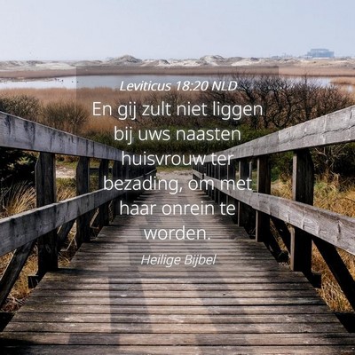 Picture 04 - Leviticus 18:20 NLD - En gij zult niet liggen bij uws naasten huisvrouw - Bible Verse Picture
