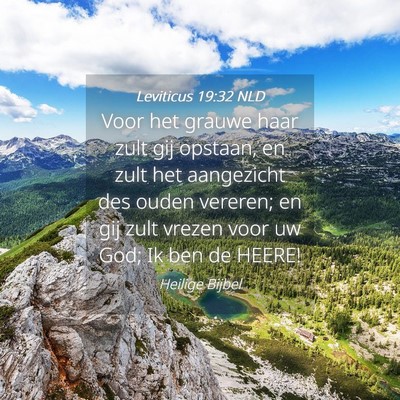 Picture 04 - Leviticus 19:32 NLD - Voor het grauwe haar zult gij opstaan, en zult - Bible Verse Picture
