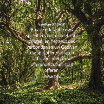 Picture 04 - Leviticus 2:13 NLD - En alle offerande uws spijsoffers zult gij met - Bible Verse Picture