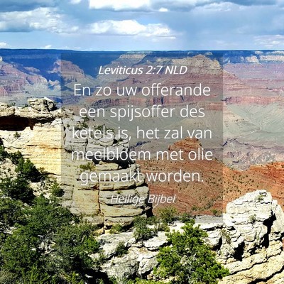 Picture 04 - Leviticus 2:7 NLD - En zo uw offerande een spijsoffer des ketels is, - Bible Verse Picture
