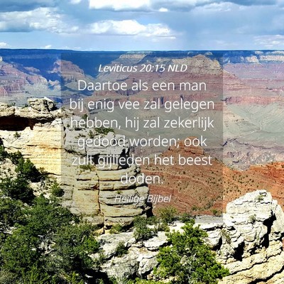 Picture 04 - Leviticus 20:15 NLD - Daartoe als een man bij enig vee zal gelegen - Bible Verse Picture