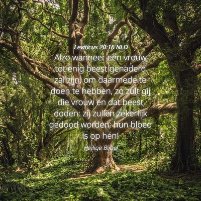 Picture 04 - Leviticus 20:16 NLD - Alzo wanneer een vrouw tot enig beest genaderd - Bible Verse Picture