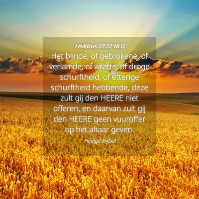 Picture 04 - Leviticus 22:22 NLD - Het blinde, of gebrokene, of verlamde, of wratte, - Bible Verse Picture