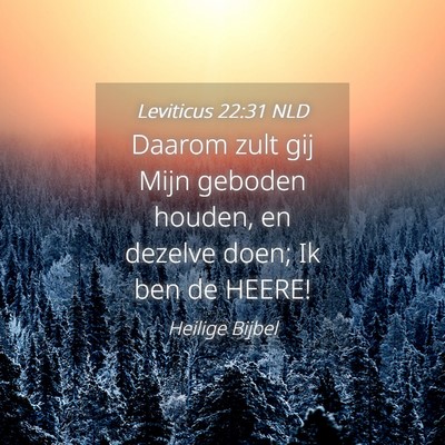 Picture 04 - Leviticus 22:31 NLD - Daarom zult gij Mijn geboden houden, en dezelve - Bible Verse Picture
