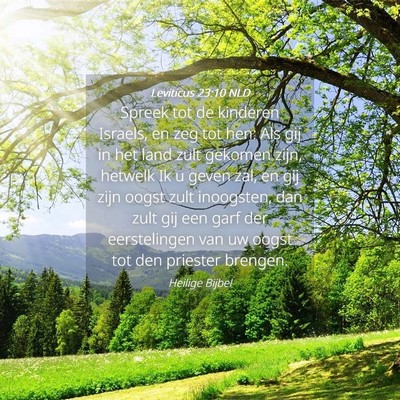 Picture 04 - Leviticus 23:10 NLD - Spreek tot de kinderen Israels, en zeg tot hen: - Bible Verse Picture