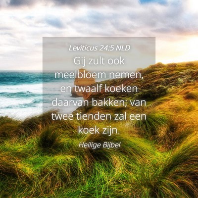 Picture 04 - Leviticus 24:5 NLD - Gij zult ook meelbloem nemen, en twaalf koeken - Bible Verse Picture