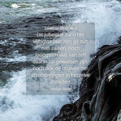 Picture 04 - Leviticus 25:11 NLD - Dit jubeljaar zal u het vijftigste jaar zijn; gij - Bible Verse Picture