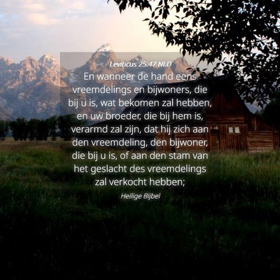 Picture 04 - Leviticus 25:47 NLD - En wanneer de hand eens vreemdelings en - Bible Verse Picture