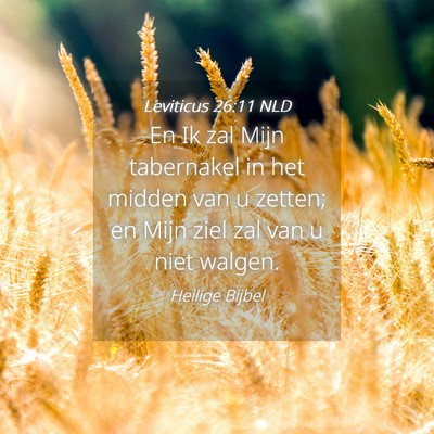 Picture 04 - Leviticus 26:11 NLD - En Ik zal Mijn tabernakel in het midden van u - Bible Verse Picture