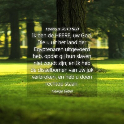 Picture 04 - Leviticus 26:13 NLD - Ik ben de HEERE, uw God, Die u uit het land der - Bible Verse Picture