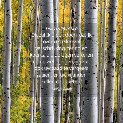 Picture 04 - Leviticus 26:16 NLD - Dit zal Ik u ook doen, dat Ik over u stellen zal - Bible Verse Picture