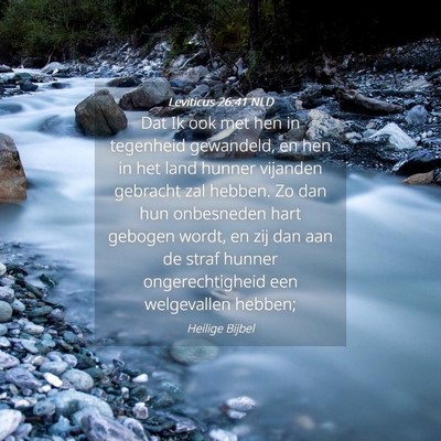 Picture 04 - Leviticus 26:41 NLD - Dat Ik ook met hen in tegenheid gewandeld, en hen - Bible Verse Picture