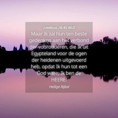 Picture 04 - Leviticus 26:45 NLD - Maar Ik zal hun ten beste gedenken aan het - Bible Verse Picture