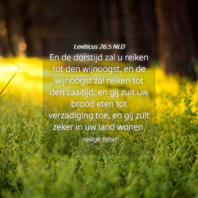 Picture 04 - Leviticus 26:5 NLD - En de dorstijd zal u reiken tot den wijnoogst, en - Bible Verse Picture
