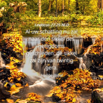 Picture 04 - Leviticus 27:25 NLD - Al uw schatting nu zal naar den sikkel des - Bible Verse Picture