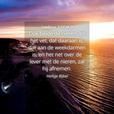 Picture 04 - Leviticus 3:10 NLD - Ook beide de nieren, en het vet, dat daaraan is, - Bible Verse Picture