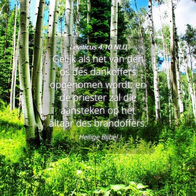 Picture 04 - Leviticus 4:10 NLD - Gelijk als het van den os des dankoffers - Bible Verse Picture