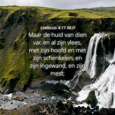 Picture 04 - Leviticus 4:11 NLD - Maar de huid van dien var, en al zijn vlees, met - Bible Verse Picture