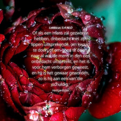 Picture 04 - Leviticus 5:4 NLD - Of als een mens zal gezworen hebben, onbedacht - Bible Verse Picture