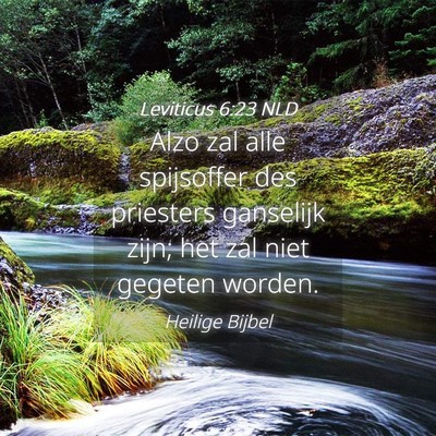 Picture 04 - Leviticus 6:23 NLD - Alzo zal alle spijsoffer des priesters ganselijk - Bible Verse Picture