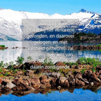 Picture 04 - Leviticus 6:3 NLD - Of dat hij het verlorene gevonden, en daarover - Bible Verse Picture