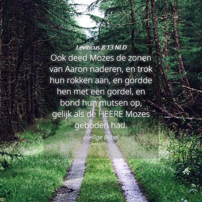 Picture 04 - Leviticus 8:13 NLD - Ook deed Mozes de zonen van Aaron naderen, en - Bible Verse Picture